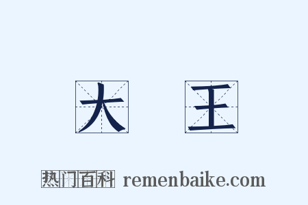 大醫王是什么意思的图片